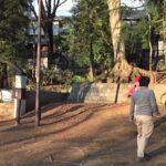 2015/01/11/SUN #ノーパンツデー は日本で盛り上がったのか?