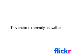 あのphoto SNSのFlickrがyahooに吸収合併！