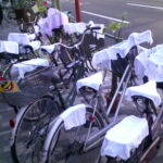 清潔にしてると