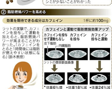 コーヒーにはシミ予防のポリフェノール含有量が赤ワイン並！NHKあさいち2012年10月15日