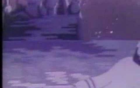 なつかしの”ロイヤルポールウインナー”　伊藤ハム株式会社 　あの頃の想い出