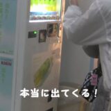 出た！生茶パンダ先生！