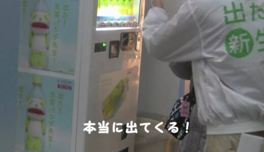 出た！生茶パンダ先生！