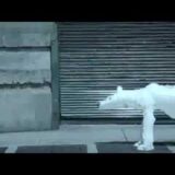 環境広告　地下鉄に乗ろう　シロクマを救う編