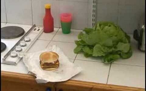 ウェンディーズのサイト誘因型のネット動画