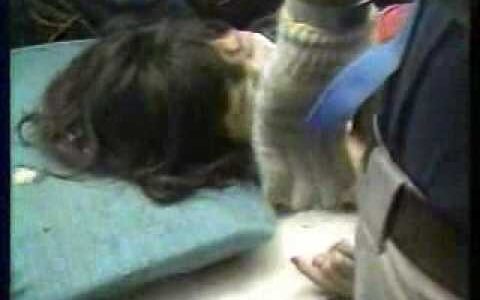 あれから28年、JAL123便で考えさせられること