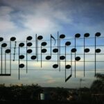 Birds on The Wires　鳥がおりなす偶然の音楽？