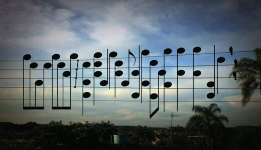 Birds on The Wires　鳥がおりなす偶然の音楽？