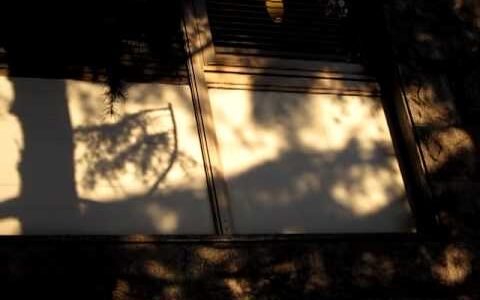 Canon IXY 410Fのダイジェストムービーモードが神過ぎる件 #canon #ixy