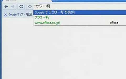 Google Chrome 期待以上の出来栄え！
