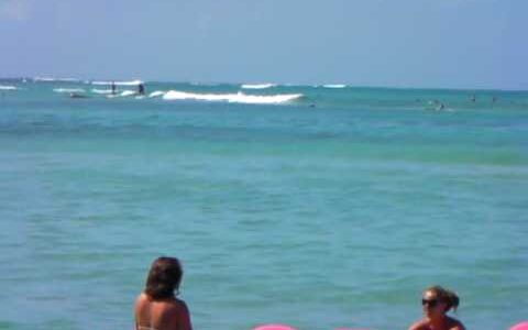 NHK  特ダネ！投稿DO画　ハワイ編　HAWAII BIKINI