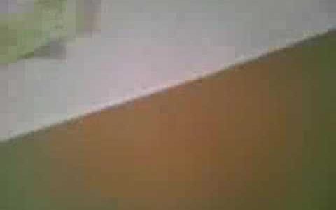 On Vox: 市民メディアサミット