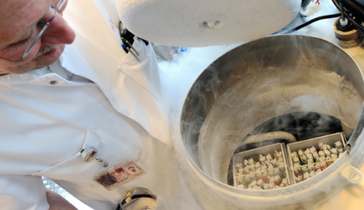 CNN.co.jp : フェイスブックとアップル、卵子凍結に保険適用