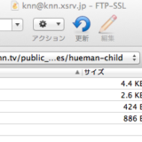 [wp]ftpの階層構造　自分メモ
