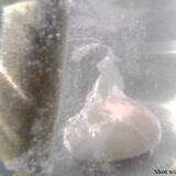 GoPro　ポーチドエッグができ上がるまで ポーチドエッグのセルフィー動画（笑）