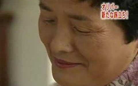 盲導犬の老後 プロ意識のあるワンコとdis記事でPV稼ぐプロのメディア