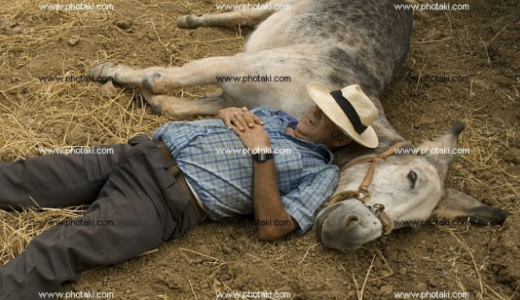 東証、株取引時間拡大見送り！むしろ、まず、昼休みをやめるべきだよ（笑）