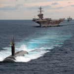 日本にイルカやクジラを…という前にこっちも考えるべきだろう…米海軍の訓練やソナー実験