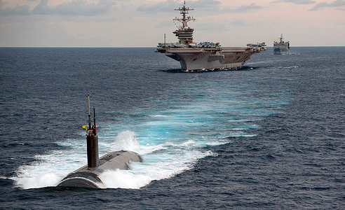 日本にイルカやクジラを…という前にこっちも考えるべきだろう…米海軍の訓練やソナー実験