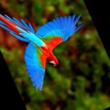 小椋佳コンサート　屋根のない車