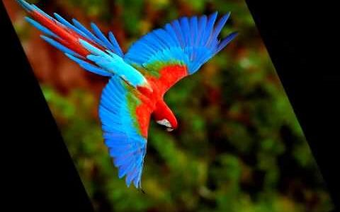 下のソーシャルリンクからフォロー