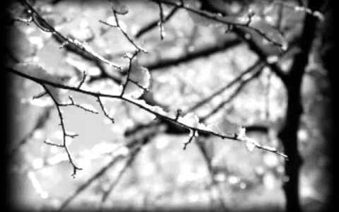 アンへドニック（悲観論者）なクライエント（患者）をライフ・エキュピリアン（人生快楽主義者）に変える為の仕組み（アルゴリズム）を考える