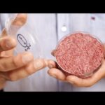 ハンバーグ肉細胞あります！「培養肉ハンバーグ」の衝撃