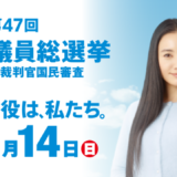 総務省は、仲間由紀恵さんをキャンペーンするよりも候補者をキャンペーンすべきだろう