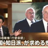 集団的自衛権×特定秘密×衆議院選挙圧勝の最悪のシナリオ