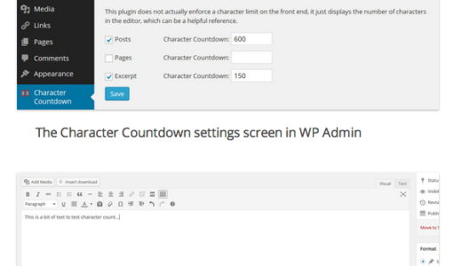 [wp]目標文字数からカウントダウンしてくれるプラグイン[Character Countdown]