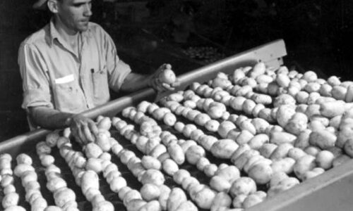 イノベーションなき20年の元凶はマークシート入試改革から　鈴木寛まとめ