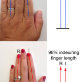 薬指が長いか？人差し指が長いか？でわかる男女の性能「二本指の法則―あなたの健康状態から○○○までを語る秘密の数字 」