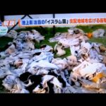 日本もイスラム国の標的になった日本人人質開放72時間以内に2億ドル要求！