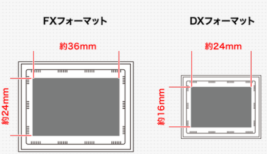 キヤノンとニコン APS-Cサイズ[DXフォーマット]　フルサイズ[FXフォーマット]の違い
