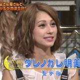 国籍不明のアイドル時代 ハーフ系女性タレントの父母の国籍リスト ダレノガレ明美、トリンドル玲奈、トラウデン直美、ラブリ、水原 希子、春香クリスティーン、ドーキンズ英里奈、SHELLY、ローラ、ベッキー、シェリー