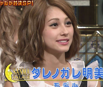 国籍不明のアイドル時代 ハーフ系女性タレントの父母の国籍リスト ダレノガレ明美、トリンドル玲奈、トラウデン直美、ラブリ、水原 希子、春香クリスティーン、ドーキンズ英里奈、SHELLY、ローラ、ベッキー、シェリー