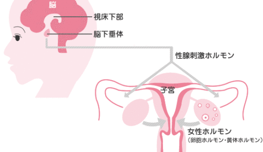 不妊治療 35歳の壁-少子化対策を考える-