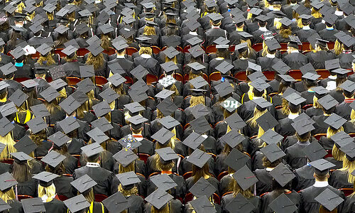 ハーバード大MBAの3割はプログラマー