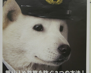 賞金獲得者続々登場！？詐欺「通報ダイヤル」情報料に5,000円〜10万円 0120-924-839