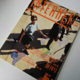 BI インターネット紀元前 2007年からのふりかえり