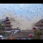 2015年4月25日ネパール大地震 逃げ惑う鳥の群れ