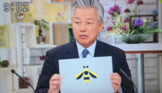 新社名はSkyBee？投資ファンドのインテグラルにスカイマークの社名を変える権限があるのか？