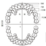 歯を早く治したければ、近所の歯医者に同時に通いなさい