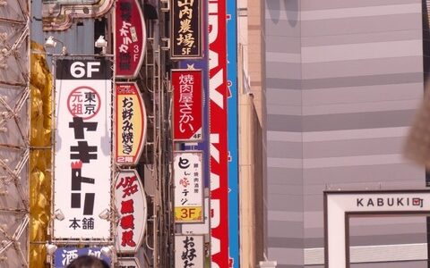 教えて！川井さん　ズーム性能はどちらがいいの？panasonic Lumix FZ200 or FZ1000