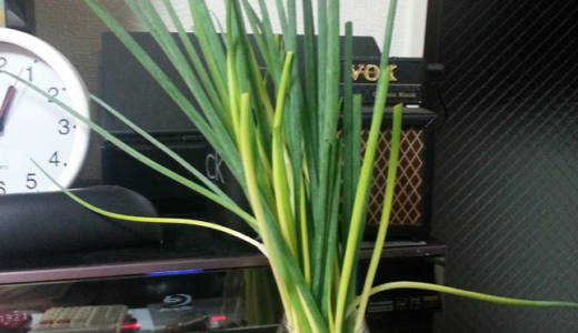 下のソーシャルリンクからフォロー