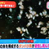 ダニを完全に殺すなら、レイコップよりもコインランドリーの乾燥機