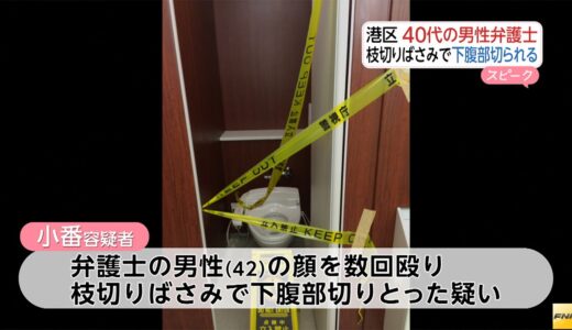 枝切りハサミでチョッキンされるリスクを考えよう…。なぜ？報道は「局部」を「下腹部」とやわらげたのだろう…