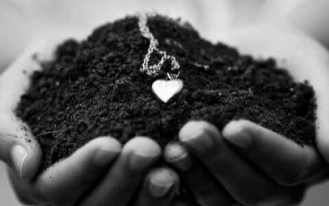 堂本剛さんのカバー曲集『カバ』めちゃめちゃええやん♡