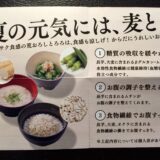 夏の元気に、麦とろとろう！