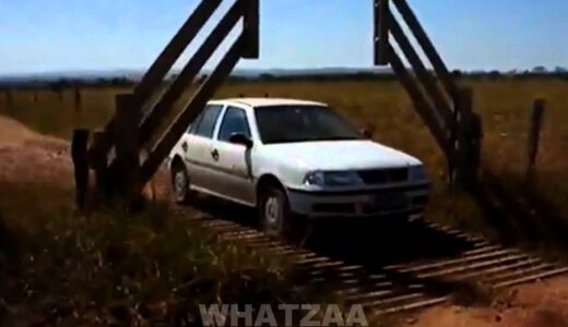 awesome! this is it! Japan quality automatic gates system